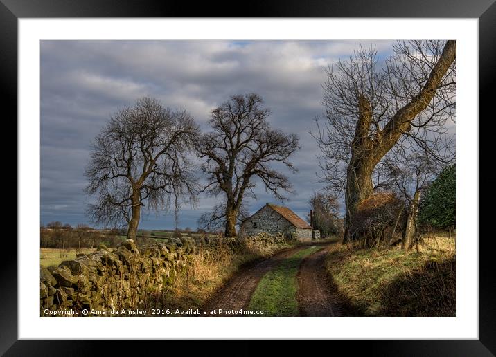 Country Lane in Richmondshire Framed Mounted Print by AMANDA AINSLEY