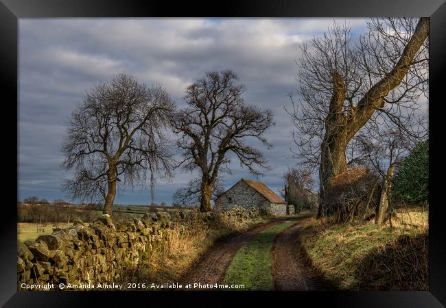 Country Lane in Richmondshire Framed Print by AMANDA AINSLEY