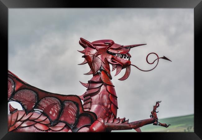 Gareth The Dragon 3 Framed Print by Steve Purnell