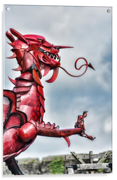 Gareth The Dragon 6 Acrylic by Steve Purnell