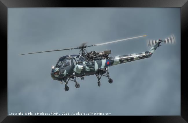 Westland Wasp HAS1 Framed Print by Philip Hodges aFIAP ,