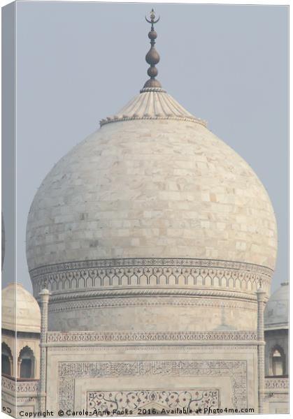 The Taj Mahal, Agra Canvas Print by Carole-Anne Fooks