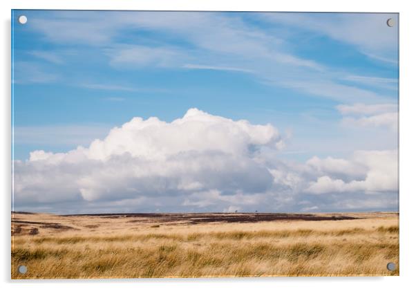 Blue sky and white clouds above sunlit moorland. D Acrylic by Liam Grant