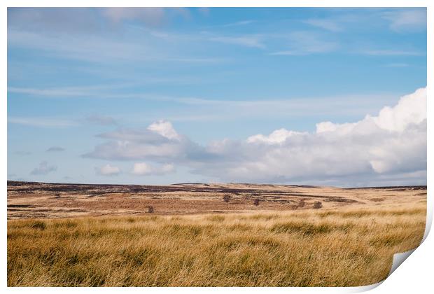 Blue sky and white clouds above sunlit moorland. D Print by Liam Grant