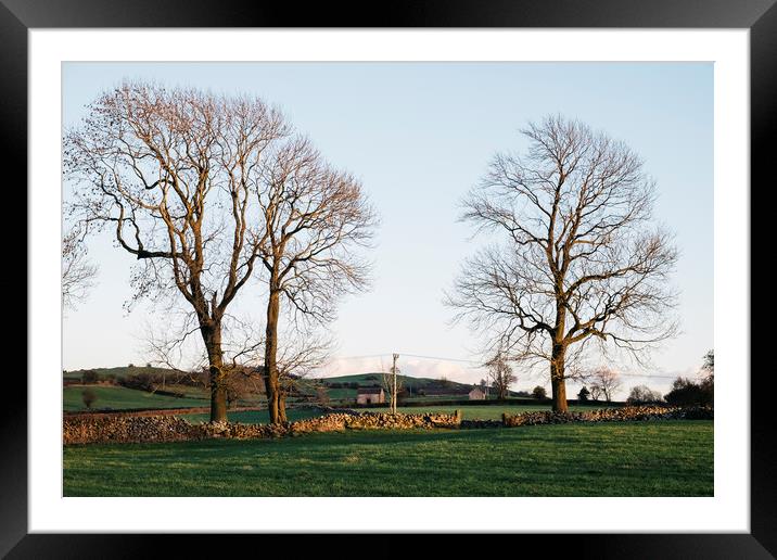 Trees and barns at sunset, above Matlock. Derbyshi Framed Mounted Print by Liam Grant