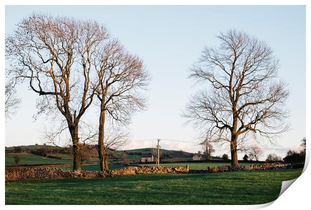 Trees and barns at sunset, above Matlock. Derbyshi Print by Liam Grant