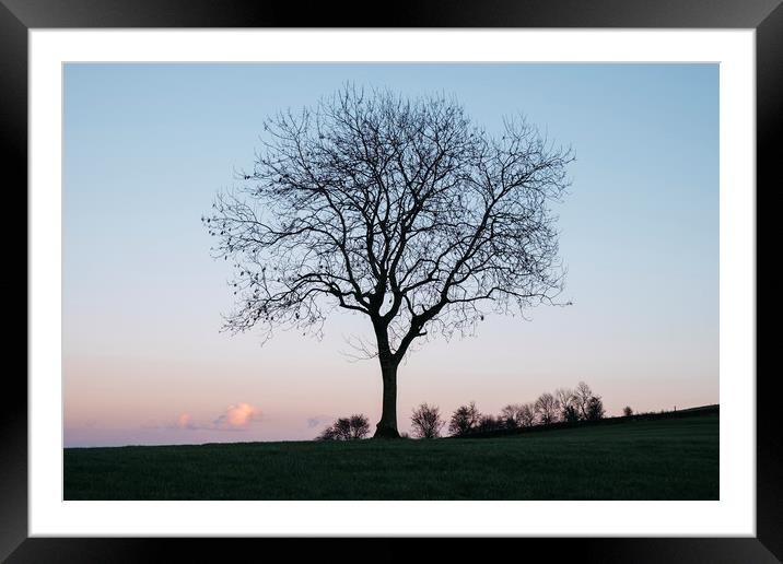 Tree on a hilltop above Matlock silhouetted at twi Framed Mounted Print by Liam Grant