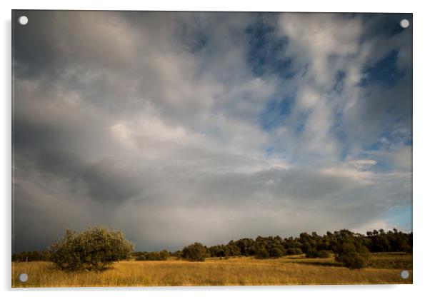 Birchen Edge Stormy Skies Acrylic by James Grant