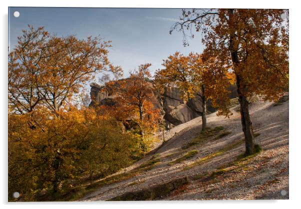 Black Rocks at Autumn Acrylic by James Grant