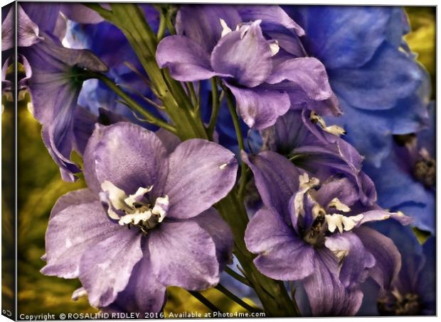 "DELPHINIUM" Canvas Print by ROS RIDLEY