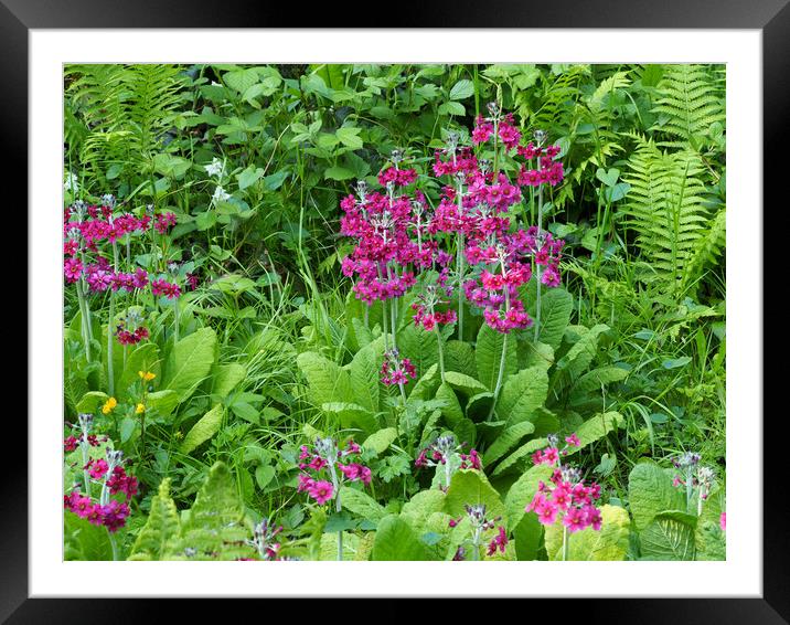 Wetland Garden Framed Mounted Print by Victor Burnside