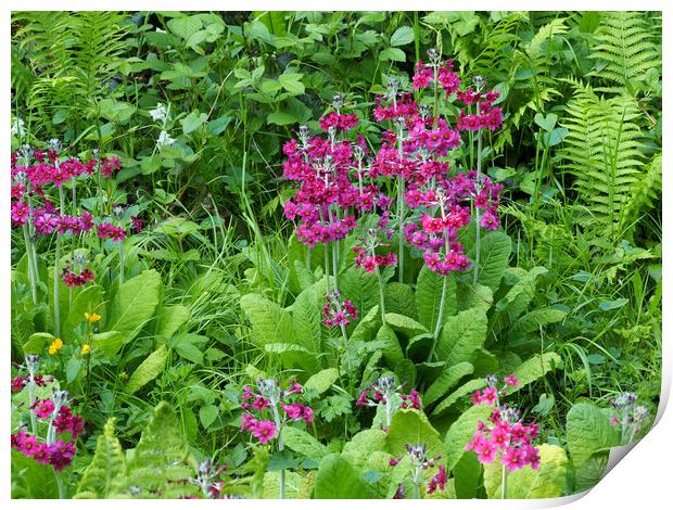 Wetland Garden Print by Victor Burnside