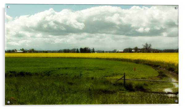 The Curve of a Mustard Crop Acrylic by Belinda Greb