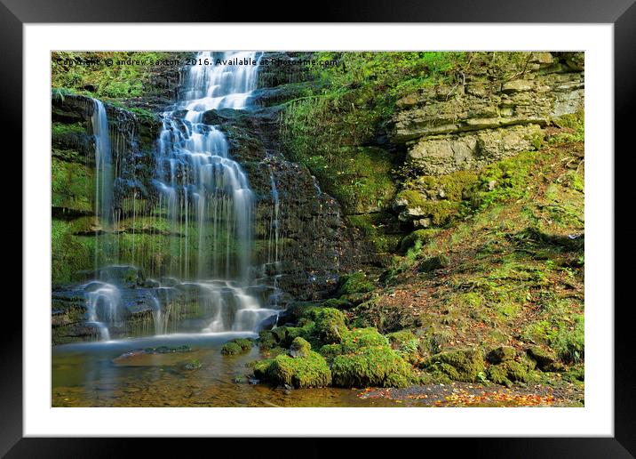WERE'S THE SHOWER GEL Framed Mounted Print by andrew saxton