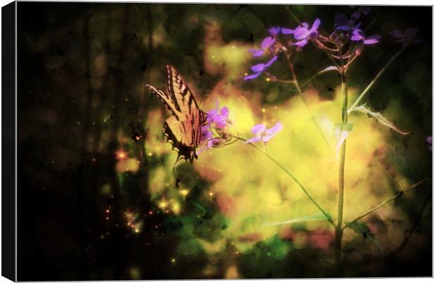 Butterfly Light Canvas Print by Sarah Ball