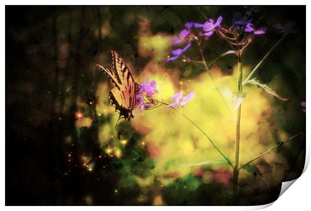 Butterfly Light Print by Sarah Ball