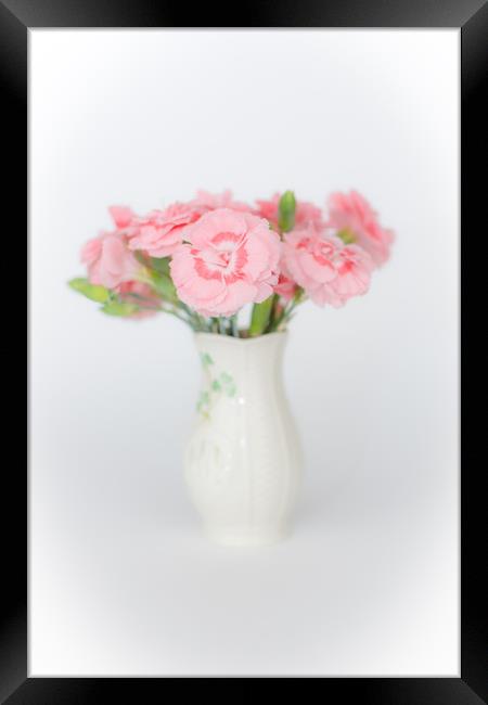 Pink Carnations 1 Framed Print by Steve Purnell