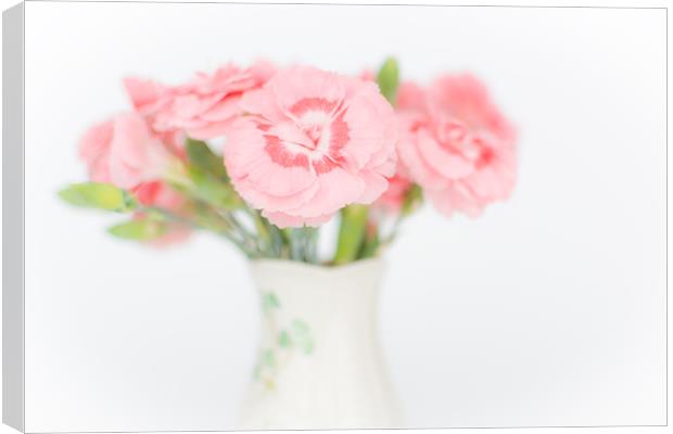 Pink Carnations 2 Canvas Print by Steve Purnell