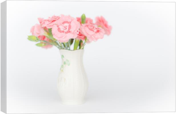 Pink Carnations 3 Canvas Print by Steve Purnell