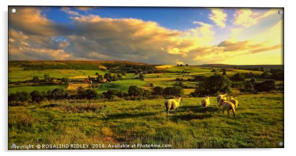 "EVENING LIGHT ....TIME FOR THE SHEEP TO RETURN TO Acrylic by ROS RIDLEY