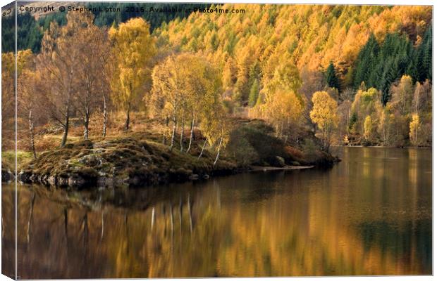 Autumnal Loch Tummel Canvas Print by Stephen Lipton