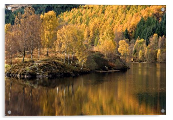 Autumnal Loch Tummel Acrylic by Stephen Lipton