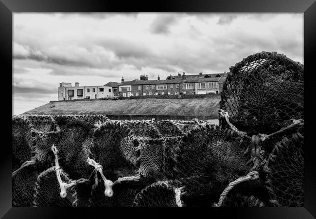 Seahouses Framed Print by Northeast Images