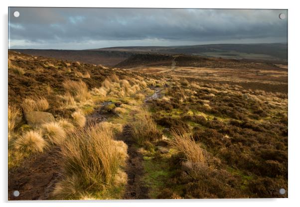 Higger Tor to Carl Wark Acrylic by James Grant