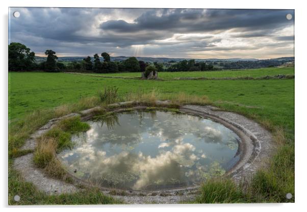 Hartington Dew Pond Acrylic by James Grant