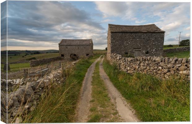 Staden Lane Hartington Canvas Print by James Grant