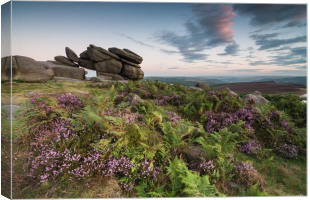 Shelter Rock Canvas Print by James Grant