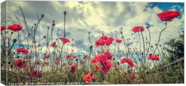 Poppies Canvas Print by Gary Richardson