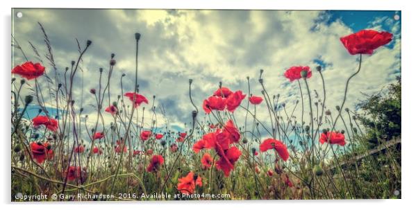 Poppies Acrylic by Gary Richardson