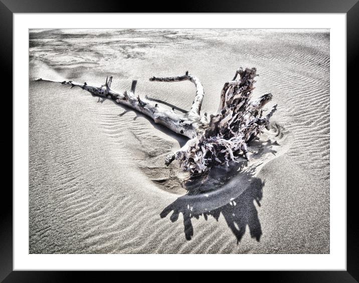 Driftwood Framed Mounted Print by Mary Lane