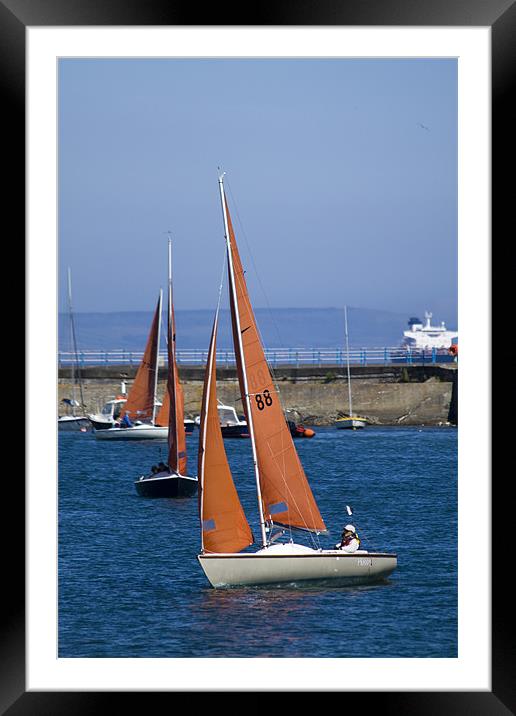 Yachts Framed Mounted Print by David French