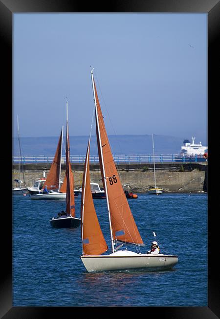 Yachts Framed Print by David French