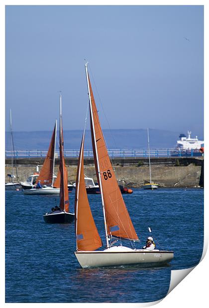Yachts Print by David French
