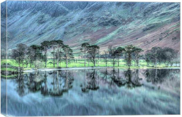 Buttermere Pines Canvas Print by Simon Wells
