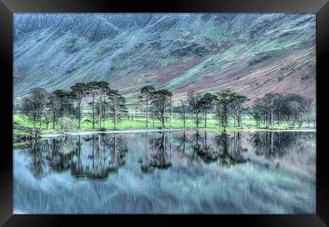 Buttermere Pines Framed Print by Simon Wells