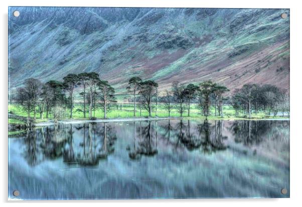 Buttermere Pines Acrylic by Simon Wells