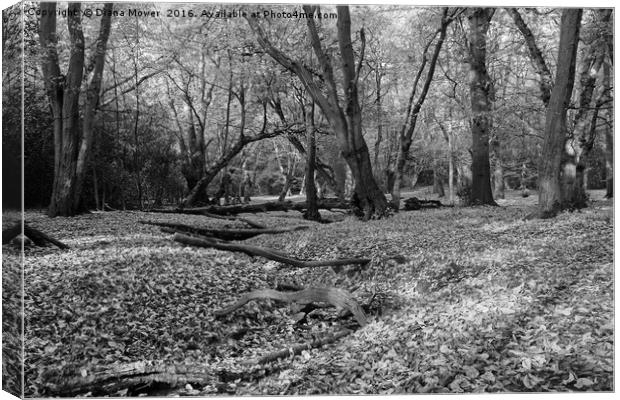 Epping Forest Canvas Print by Diana Mower
