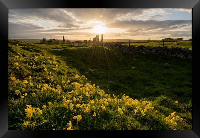 Magpie Mine Cowslips Framed Print by James Grant