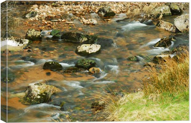 WATER ROUND STONES Canvas Print by andrew saxton