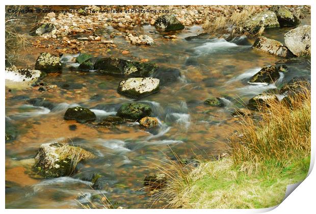 WATER ROUND STONES Print by andrew saxton