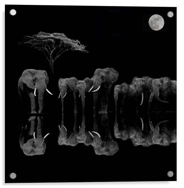 Elephants At The River Acrylic by Henry Horton