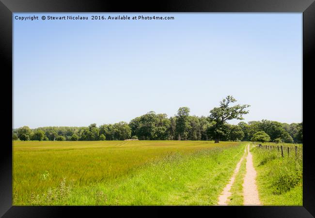 England's pleasant pastures  Framed Print by Stewart Nicolaou