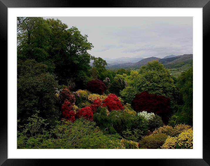 Eskdale Valley Framed Mounted Print by Paul Leviston