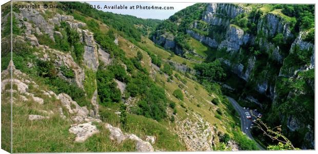 Cheddar Gorge  View Canvas Print by Diana Mower