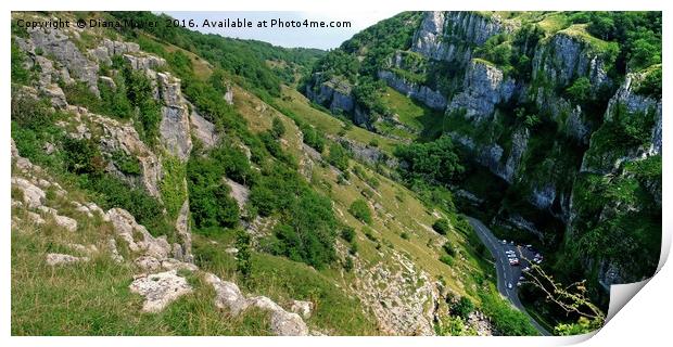 Cheddar Gorge  View Print by Diana Mower