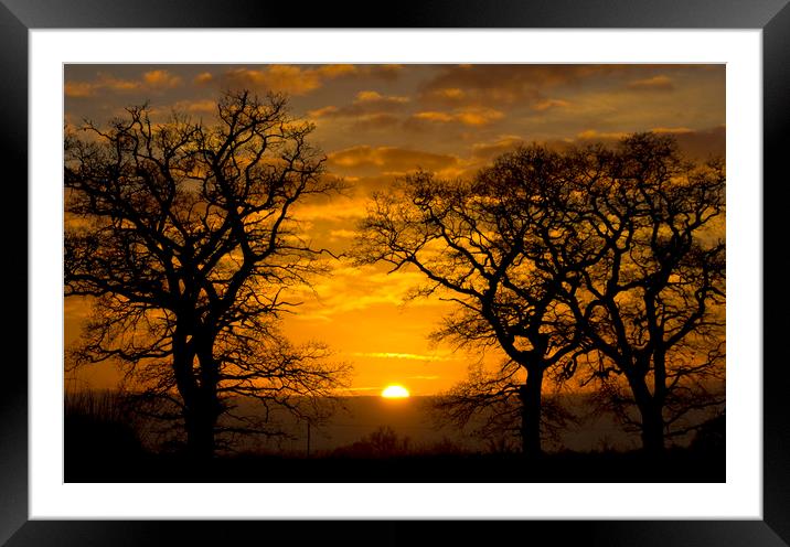 Sunrise through winter trees Framed Mounted Print by Darren Burroughs